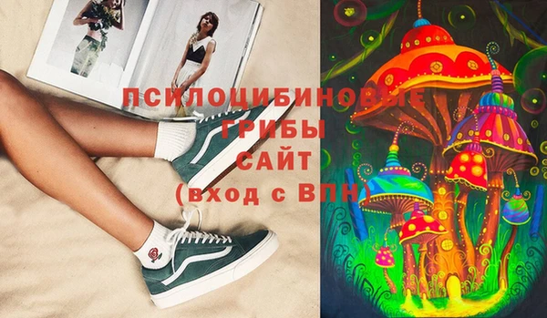 стафф Алексин