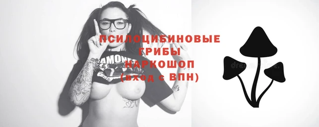 стафф Алексин