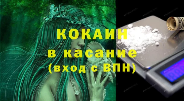 стафф Алексин
