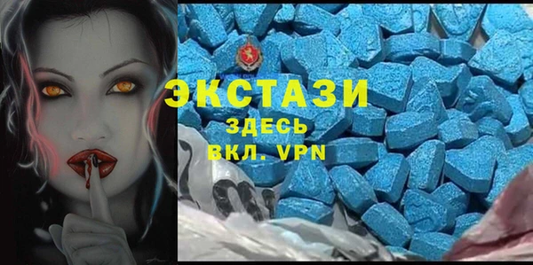 стафф Алексин