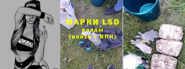 СК Алзамай