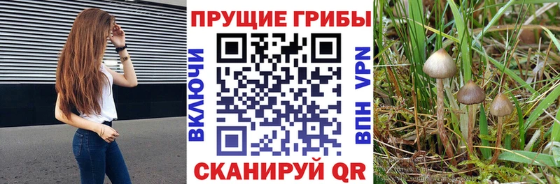 Псилоцибиновые грибы ЛСД  Билибино 